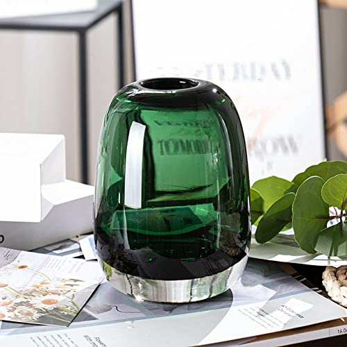 XIUWOUG Kleine Glasvasen Für Pampasgras Blumenvase Modern Vase Für Tischdeko Kugelvase Glas Für Wohnzimmer Tablett Bad Couchtisch,Green l
