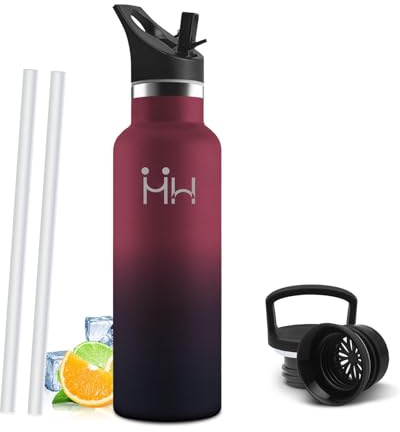 Gourde Isotherme 500 ML, Gourde INOX avec Paille, Réutilisable, Bouteille d'eau sans BPA, Anti-Fuite, Isolation sous Vide en Acier Inoxydable à Double Paroi, pour Enfants, Adultes, Sport