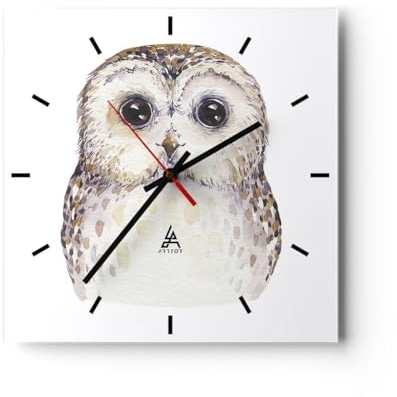 Modern Wanduhr Eule Waldkauz Grafik 40x40cm Quadrat Groß Wand Uhr Glas Analog Zimmeruhren Küche Büro Wohnzimmer Glasuhr Wall Clock Dekoration Design Wanddekoration Küchenuhr C3AC40x40-4229