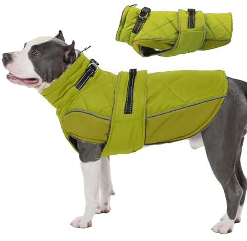 Katzinst Wintermantel Hund Groß XXL mit Reflektierenden Streifen, Wasserbeständig Hundejacke Große Hunde, Hundemantel 60cm für Dobermann, Golden Retriever, Gassi gehen bei Kälte，Grün, 2XL