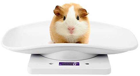 Kleintierwaage, 10kg/1g Digitale Säuglingswaage Weiß, Kleine Babywaage mit rutschfesten Pads, Elektronische Küchenwaage für Lebensmittelgewicht