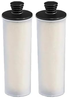 ECWRWWGI Varilla de Filtro descalcificador, Compatible con Karcher SC 2U SC2UP SC3 SC3U SC3UP Vertical Premium Series Piezas de Limpiador a Vapor Accesorios Filtro Hepa (Color : 2pcs)