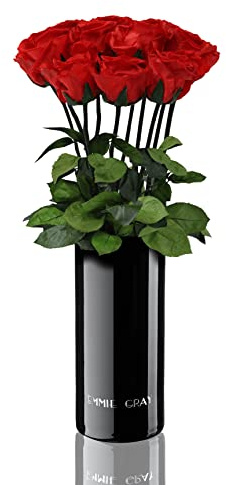 EG EMMIE GRAY Classic Vase Set | 10 | Long Stem Infinity Rosen inklusive schwarzer Glasvase - Luxuriöser Rosenstrauß aus echten Premiumrosen, 1-3 Jahre haltbar (Vibrant Red, 10 Rosen)