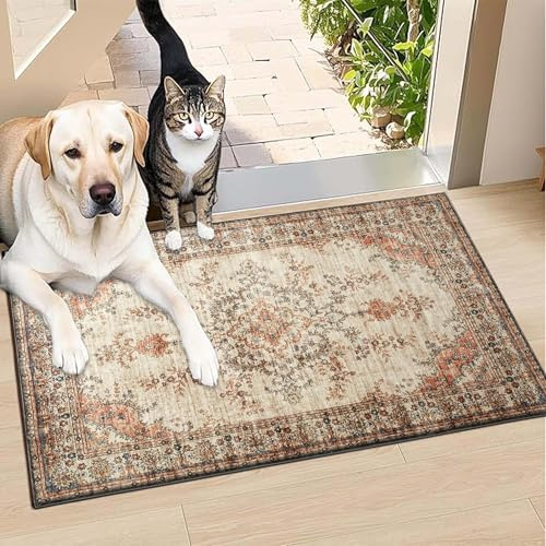 BedLooms Washable Door Mats Indoor & Outdoor - Non-Slippery Heavy Duty Front Door Mat - Stylish & Perfect Dust Grabbing Doormats - Super Absorbent Entrance Mat (Timeless, 40cm x 60cm)