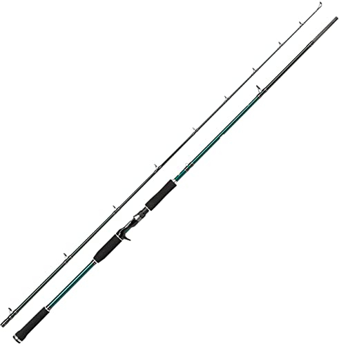 Abu Garcia Beast X Casting Angelrute - Baitcastrute zum Raubfischangeln - Hecht, Barsch, Zander, Forelle