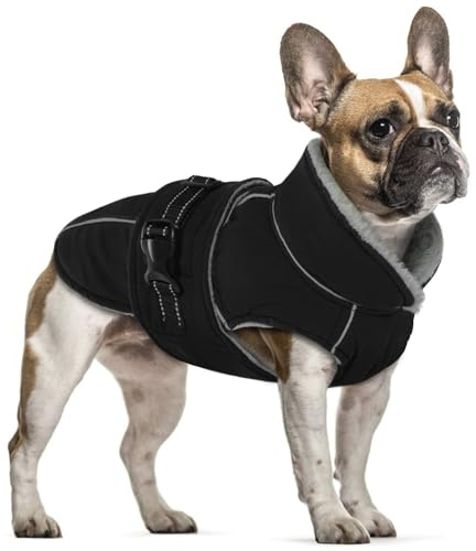 PUMYPOREITY Hundemantel Winter, Wasserdicht Hundejacken Große Hunde Weste Winddicht Hundejacke Warm Fleece Haustier Bekleidung Reflektierend Winterjacken mit Leine Loch(Schwarz, S)