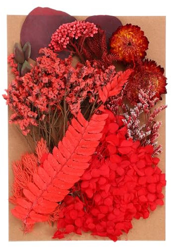 PATIKIL Fiori Secchi Naturali, Piante di Fiori Pressati Secchi Colorati Multipli per Scrapbooking di Candele di Sapone in Resina Artigianale, Stile Rosso