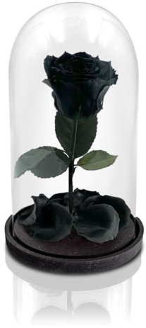 Aluisi Fiori - Rosa Stabilizzata Nera Senza LED - Rosa Eterna Stabilizzata - Rosa Stabilizzata Vera in Cupola di Vetro - Fiori Stabilizzati - Regalo per Mamma - Made in Italy