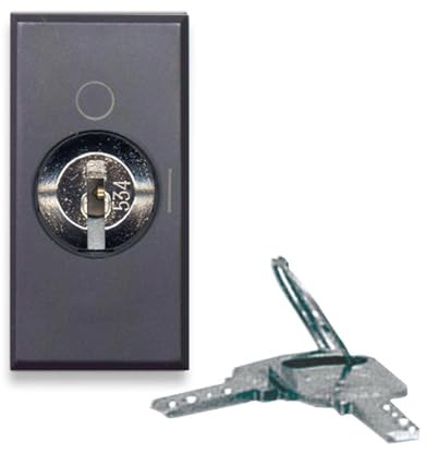 AVE INTERRUTT. Chiave 2P 10AX TEKLA 1M 445071