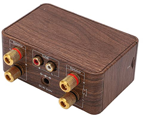 Mini 5.0 Power Audio Receiver Mini Bluetooth 5.0 Power Amplifier, Mini Bluetooth Power Amplifier Zweikanaliger HiFi-Stereo-Audio-Receiver mit USB-Eingang