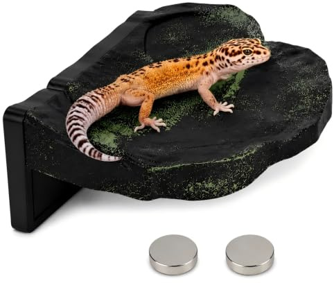 Plateforme magnétique pour gecko à crête, rebord d'escalade pour reptiles, cachette de terrarium surélevée pour geckos, geckos à crête, grenouilles et lézards