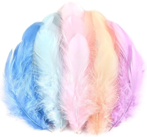 Canollo 100 Stück Macaron-Farbe Federn zum Basteln, Feder Handwerk, 6-12cm Flauschig Ffedern, Bastelfedern Macaron-Farbe für DIY Party Deko, Federn für Ostern, Halloween, Weihnachten, Hochzeit
