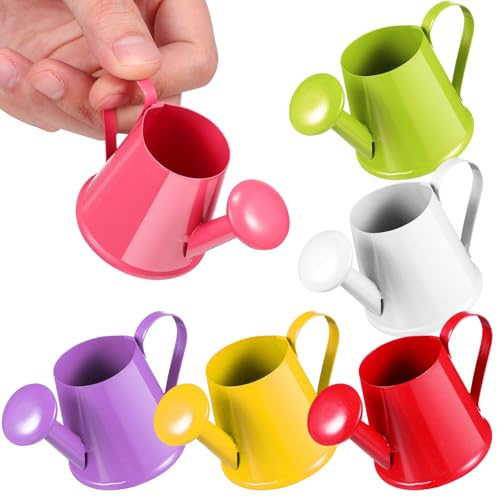 ANDRESLAD Annaffiatoio Mini in Ferro 6 Pezzi Set, Irrigatore Decorativo Leggero Impugnatura Ergonomica, Accessorio per Giardinaggio e Decorazione da Scrivania, Adatto e Uso Domestico
