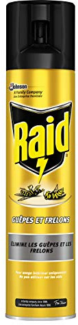 Raid Wasp/Hornet Spray 300 ml