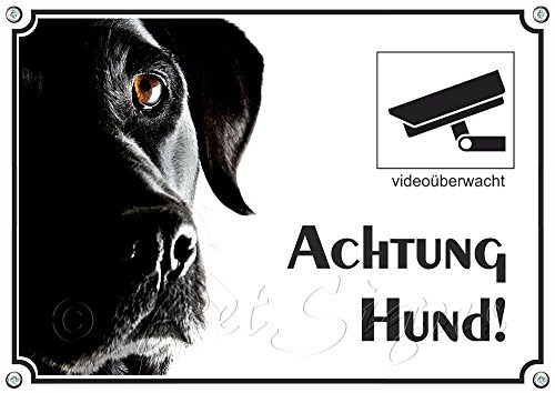 Hundeschild - Labrador Retriever mit Videoüberwachung - Exklusives Metallschild, DIN A4
