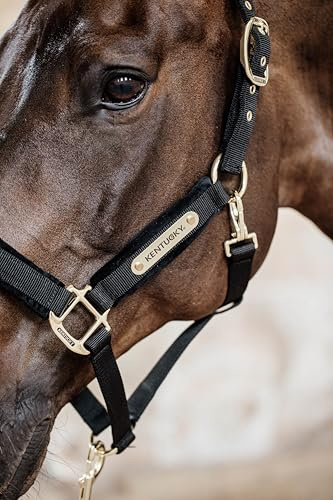 Kentucky Horsewear Velvet Halfter, Größe:Full, Farbe Kentucky Horsewear:Black
