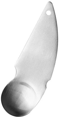 ARTIBY Kiwi Spoon - 2 in 1 Stainless Steel Kiwi Spoon Slicer,Fruit Slicer with Serrated Edge for Kiwi Lemon Orange Portable Kitchen Utensils