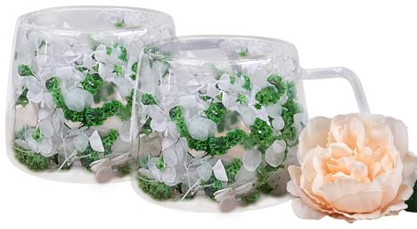 LeKuni Juego de 2 vasos para latte macchiato con flores secas, 200 ml, vasos de doble pared, vasos térmicos de doble pared, para té, hielo, té helado, helado, leche, jugo verde