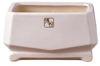 UPJAKS Maceta Maceta Rectangular de cerámica Blanca esmaltada, Moderna, for suculentas, Cactus, Hierbas y Flores, con Orificio de Drenaje, for bonsái de Escritorio, for Plantas Oficina