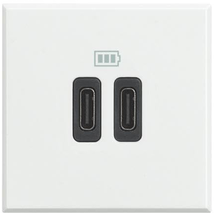 Base cargador USB C+C3A 5V 230VBTICINO Axolute HD4286C2Blanco 2 módulos