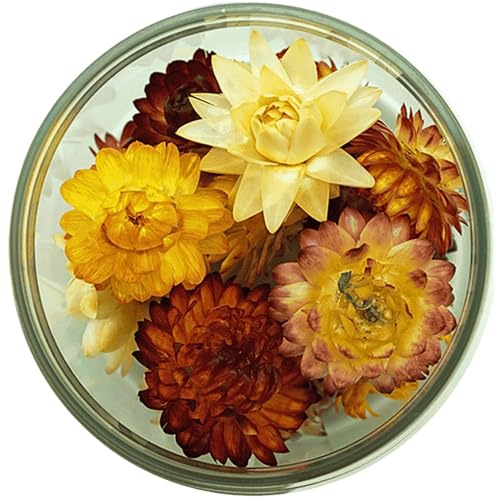 ROSIE ROSE - Essbare Blüten Strohblumen (15 Stk.) - Wie frisch gepflückt & 3 Jahre haltbar - Getrocknete Blumen Essbar für Tortendeko & Kuchendeko - Premium Edible Flowers Dried & Blütenmix