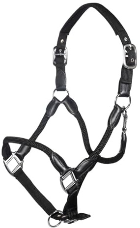 HKM Carlotta Halfter, Schwarz, Warmblut