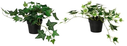 Decoris Hiedra artificial de 25 x 17 x 28 cm en maceta, 1 unidad surtida, planta artificial de hiedra artificial, planta en maceta como decoración de primavera, decoración de verano, balcón, terraza