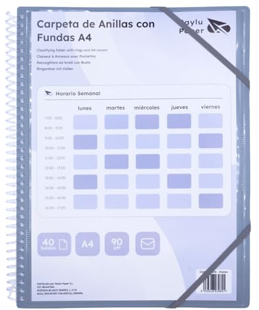 Raylu Paper – Sorteringsmapp med A4 genomskinliga fodral och ringar, bindemedel med 90 mikrofoner, kuvert med blixtlås och anpassat lock för organisation (40 fodral, rök)