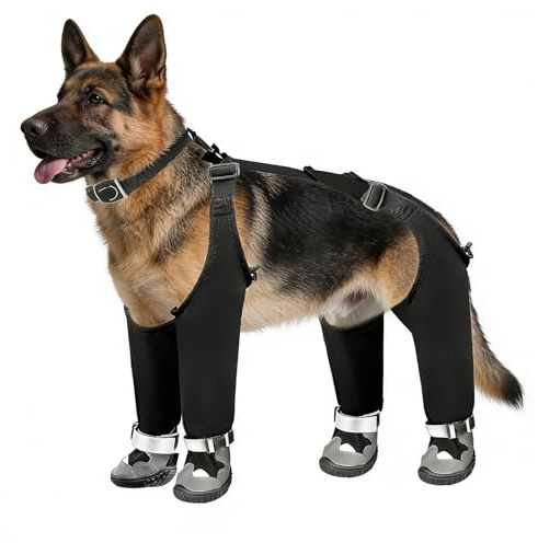 Hundeschuhe Wasserdicht - Rutschfeste Atmungsaktive Hundestiefel für Pfotenschutz | Strapazierfähige Allwetter Hundeschuhe für Schnee Regen Asphalt Wandern Camping Reisen Gassigehen Outdoor Aktivi