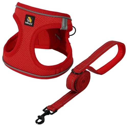 BELLA & PAL Hundegeschirr Kleine Hunde mit Leine, Step-in Geschirr aus Air Mesh, Anti Zug Reflektierend Atmungsaktiv Brustgeschirr, Welpengeschirr für Kleine Hunde, Katzengeschirr, Rot, L | Atmungsaktives weiches Netzgewebe, reflektierende Streifen, sichere Schnalle, kein Ziehen, Weste für Welpen/extra kleine