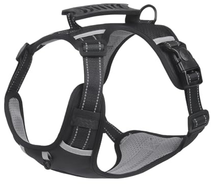 Genérico Splitterbar harnais barn – Gilet robust dragskydd mot dragkraft och snöre gör dem bekväma och säkra, för att se det, randonnée, Les Voyages, le Camping, l'entraînement et le TOI