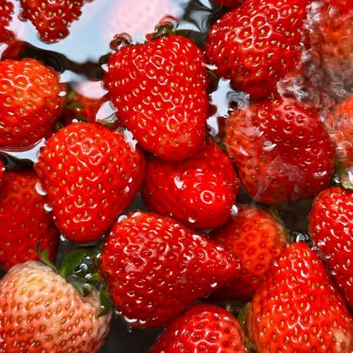 Semillas de fresa, semillas raras de fresa colgantes, fresca resistentes para el jardín exóticas variedades antiguas 300pcs