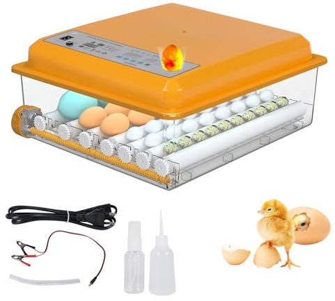 Brutautomat Vollautomatisch Inkubator Hühner Brutkasten Hühner mit Automatischem Rotationssystem und Temperaturkontrolle,Egg Incubator Brutmaschine für 12-16 Eier (Gelb 36)