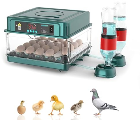 Automatischer Inkubator, Brutmaschine, automatischer Brutautomat, 24/36 cm, mit automatischem Umdrehsystem und Temperaturkontrolle, geeignet für Hühnereier, Wachteleier (24 Eier)