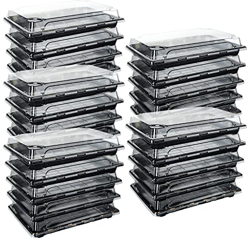 VIDETOL 25 bandejas reutilizables con tapa, cajas de plástico para preparar comidas, cajas de comida, sándwich, sushi, bandejas para sushi, buffets, frutas y platos (26 x 19 x 5 cm)