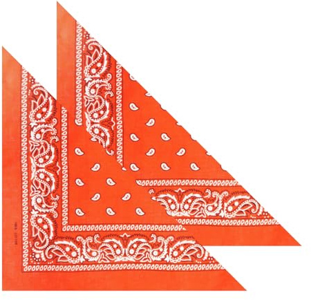 2er Set Niki-Halstuch Bandana Halstuch – Kopftuch, Haarband, Gesichtstuch oder Schal – Paisley Muster – Damen, Herren & Kinder