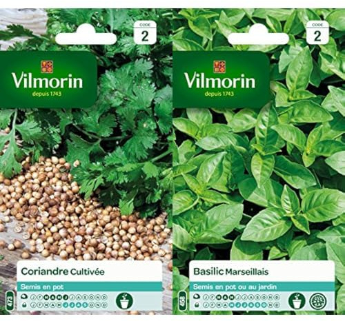 Vilmorin 5875046 Pack de Graines Coriandre Cultivée + Vilmorin 5873246 Pack de Graines Basilic Marseillais Extrêmement Parfumé