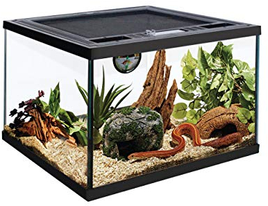 Glas-Terrarium Push Up mit Belüftungsöffnung und Futterloch für Lebende Reptilien Bartagamen, Leguan (30,5 x 30,5 x 20,3 cm)