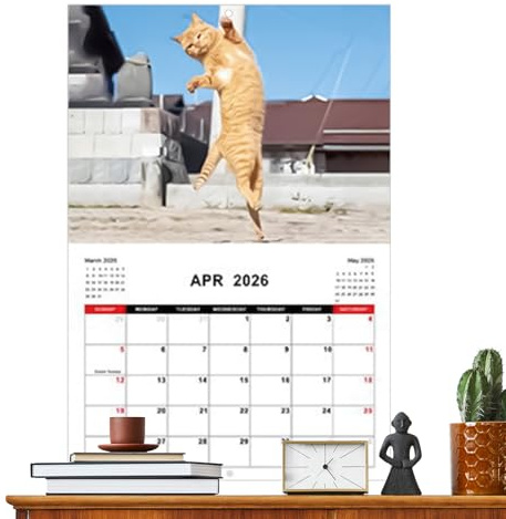 Calendrier Mural Chat 2026 | Agenda Mensuel Kung Fu Chat pour Bureau - Janvier - Décembre 2026 Grands Blocs Réglés Organisateur Mural Pour Planning Maison Bureau Salle De Sport