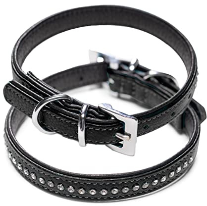 Hundehalsband aus Echt-Leder mit Strasssteinen/Kristall besetzt – funkelndes Hunde und Katzen Halsband aus gepolsterten und doppellagigen Büffelleder - Lederhalsband Audrey (M (24.5-32.5cm), Schwarz)