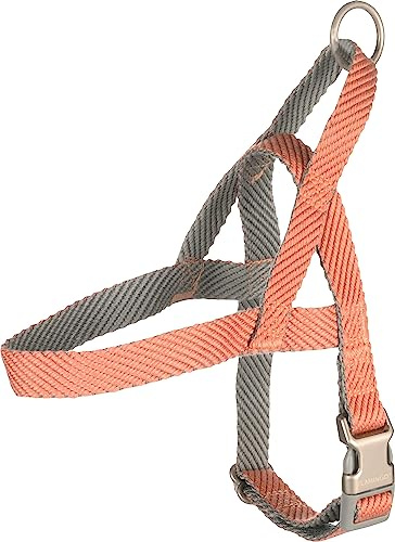 Norweger-Geschirr Elly LACHSROSA S 43-55CM 20MM