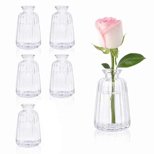 6 Stück Kleine Vasen für Tischdeko (11× 6,5cm) Mini Glasvase Set Blumenvasen für Tischdeko Hochzeit