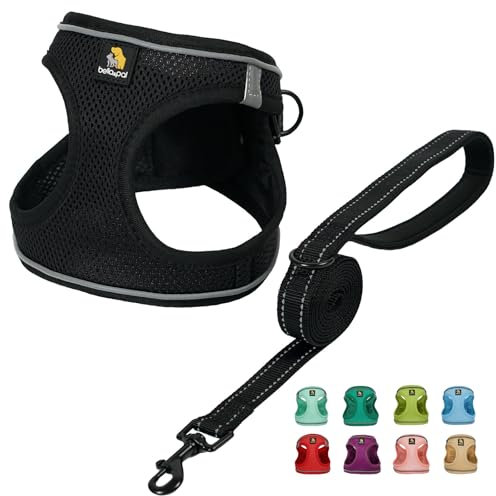 BELLA & PAL Hundegeschirr Kleine Hunde mit Leine, Step-in Geschirr aus Air Mesh, Anti Zug Reflektierend Atmungsaktiv Brustgeschirr, Welpengeschirr für Kleine Hunde, Katzengeschirr, Schwarz, S