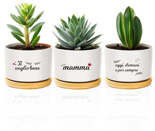 Festa Della Mamma Idee Regalo, 3 Ceramica Vasi Vaso Piante Grasse Regalo Mamma Compleanno Natale Regali Originali Idee per Piante Da Interno Esterno Decorativo