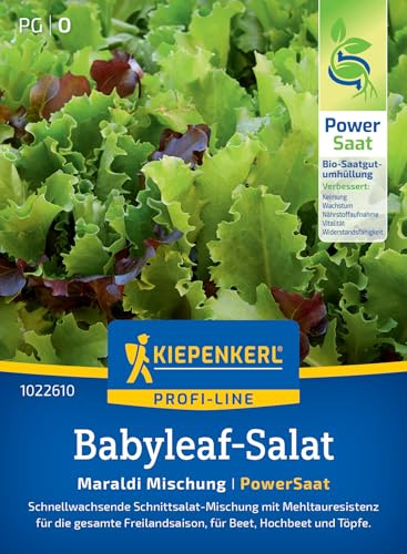 Kiepenkerl Babyleaf-samen Maraldi Mischung 1022610, Gemüsesaat | Anbausicherer Salatsamen für frischen Genuss, Pflücksalat mit nussigem Geschmack, Gemüsesamen für 1-2 m²