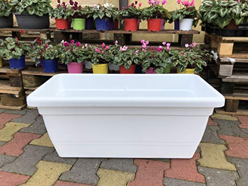 Generico FIORIERA Fioriere Vaso plastica Rettangolare da 100 CM Vari Colori Anthea da Interno e da Esterno AMDGarden (Bianco)