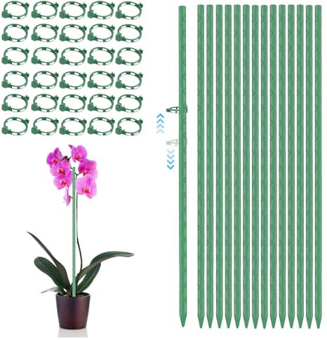 Pflanzenstütze Pflanzenhalter Pflanzstab Orchideen Stäbe Blumenstäbe Orchideenstab Stütze Blumenhalter Rankhilfe für Zimmerpflanzen 15 Stück Pflanzstäbe mit 30 Pflanzenringe, 45 Stück