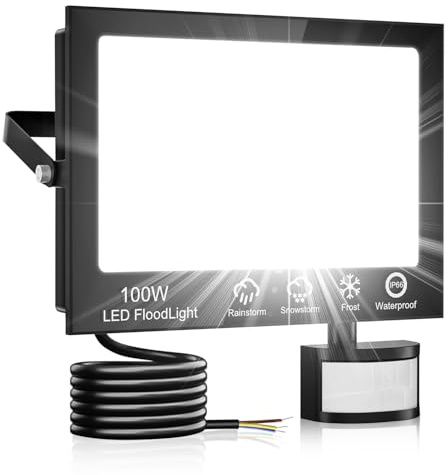 100W LED Strahler mit Bewegungsmelder Außen, Superhell 10000LM Außenstrahler, IP66 Wasserdicht LED Aussenleuchte Fluter mit Fernbedienung, 6500K Kaltweiß Scheinwerfer Aussen für Garten, Garage, Hof