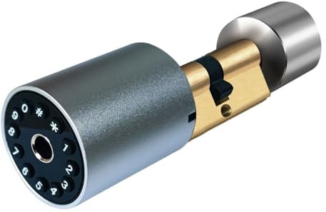 Serrure Connectée, Serrure De Porte Intellinte De Taille Variable, Serrure De Porte Extérieure, Serrure Électronique, Application Tuya, Cylindre, Mot De Passe, Serrure De Porte À Empreintes Digitales