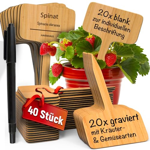 Lot de 40 étiquettes pour plantes en bois - 20 étiquettes vierges pour écrire individuellement et 20 panneaux gravés avec herbes et légumes courants - Étiquettes résistantes aux intempéries